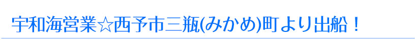 西予市三瓶町より出船！宇和海営業